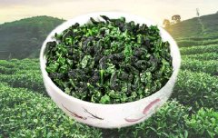 铁观音茶传统制作与现代制作的区别