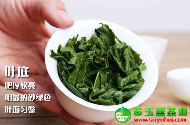 安溪铁观音100克多少价格呢