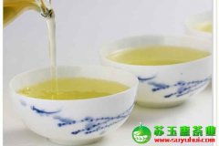 正味铁观音茶的泡法