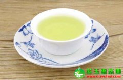 铁观音价格 传统制作的铁观音多少钱一斤？