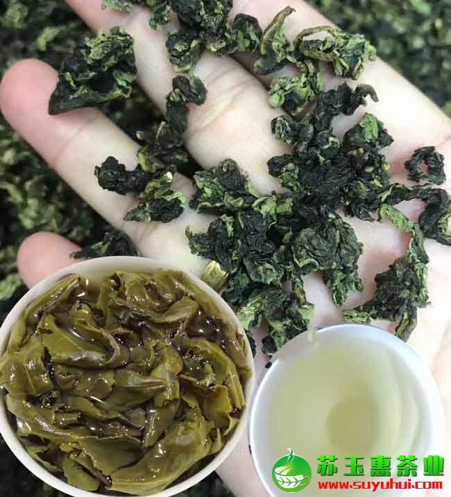 正炒铁观音茶多少钱一斤?