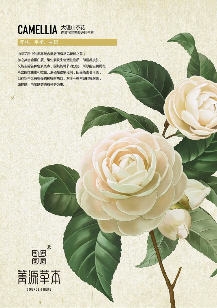 箐源草本臭水13大成分功效及调肤原理