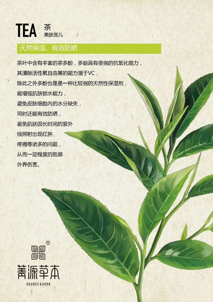 箐源草本臭水13大成分功效及调肤原理