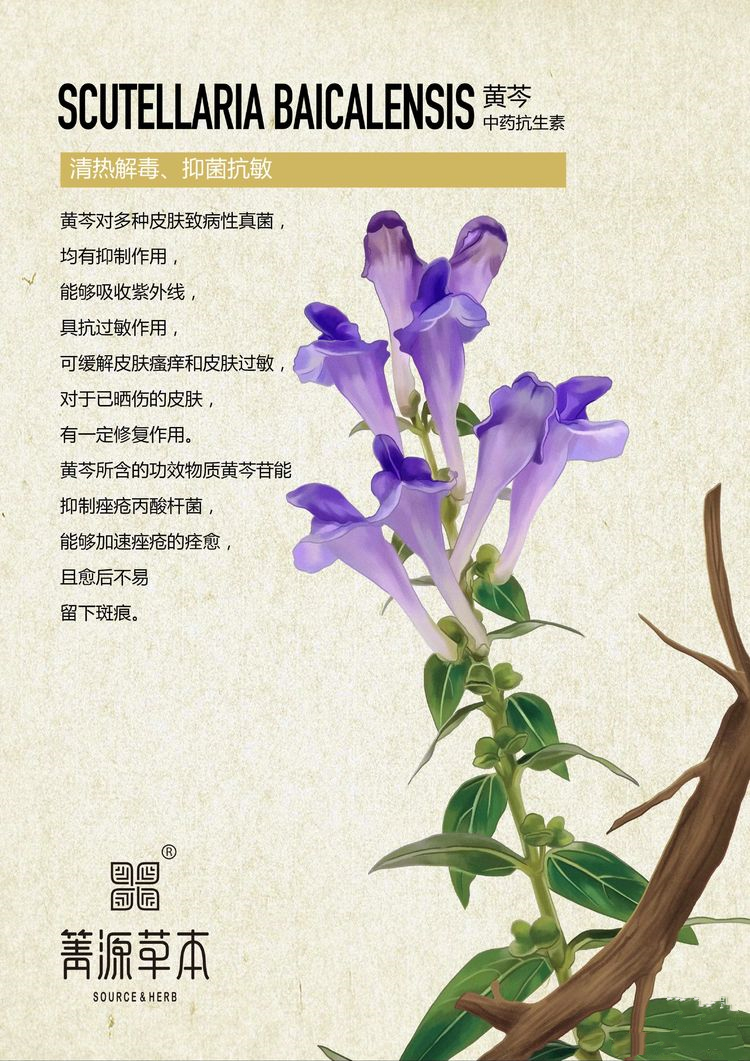 箐源草本臭水13大成分功效及调肤原理