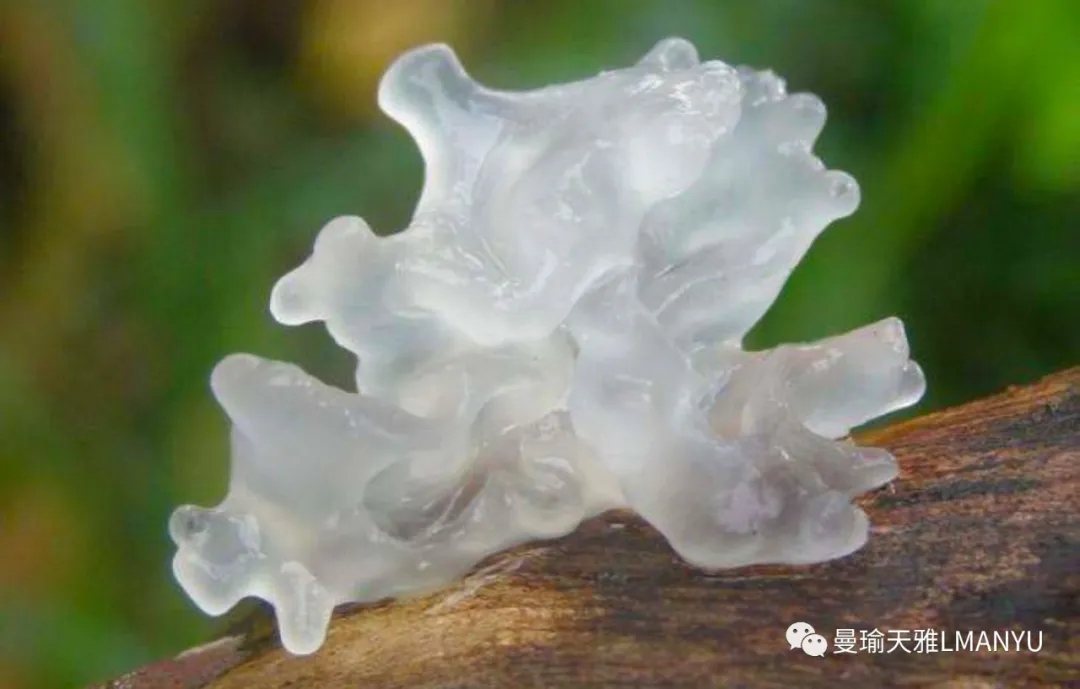 曼瑜天雅嬷嬷宝童颜面膜