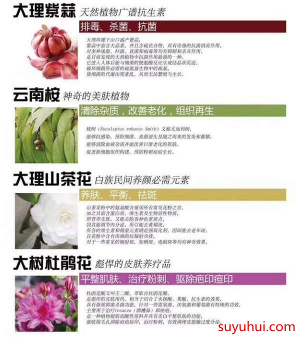 臭水箐源草本主要成分介绍