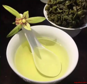 铁观音茶哪里产的最正宗